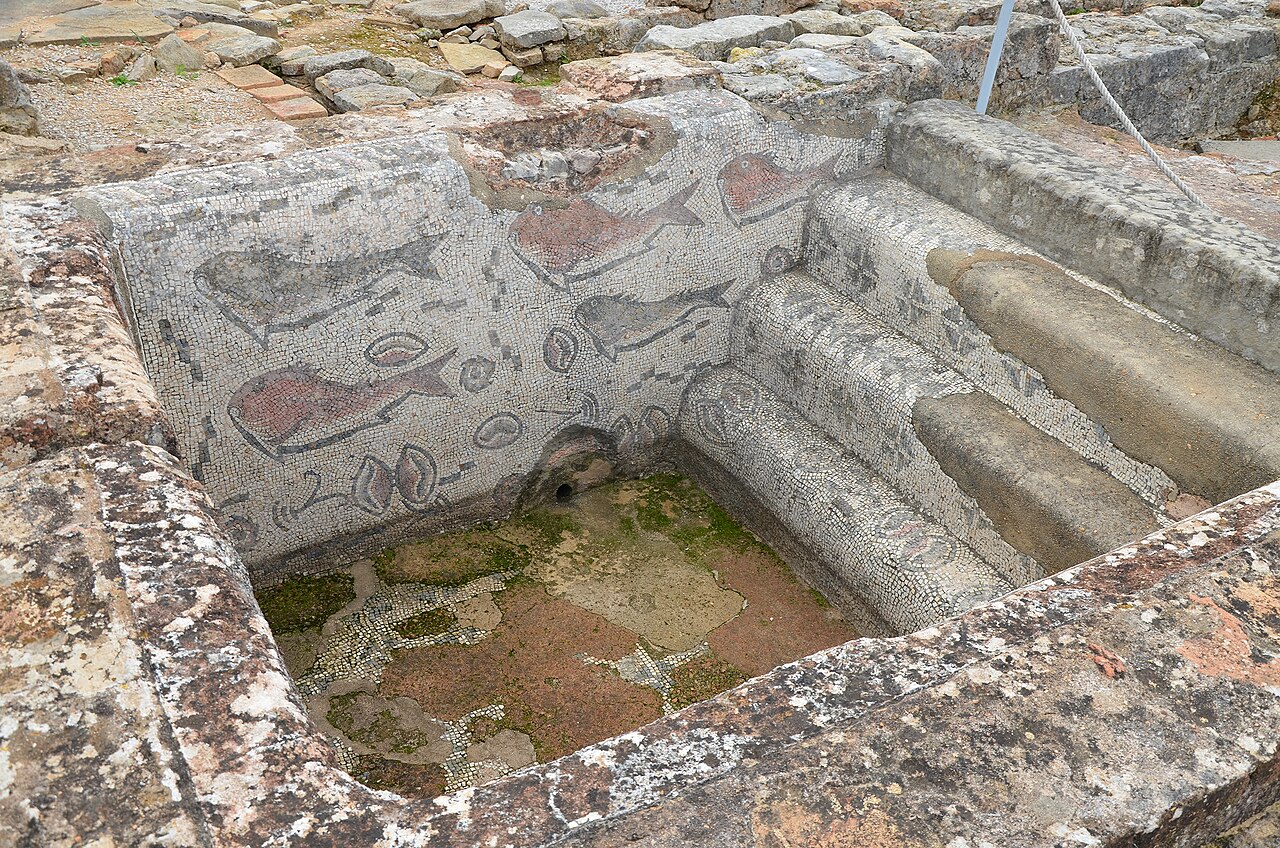 Zimna łaźnia (frigidarium) willi z mozaiką ryb na ścianach basenu.