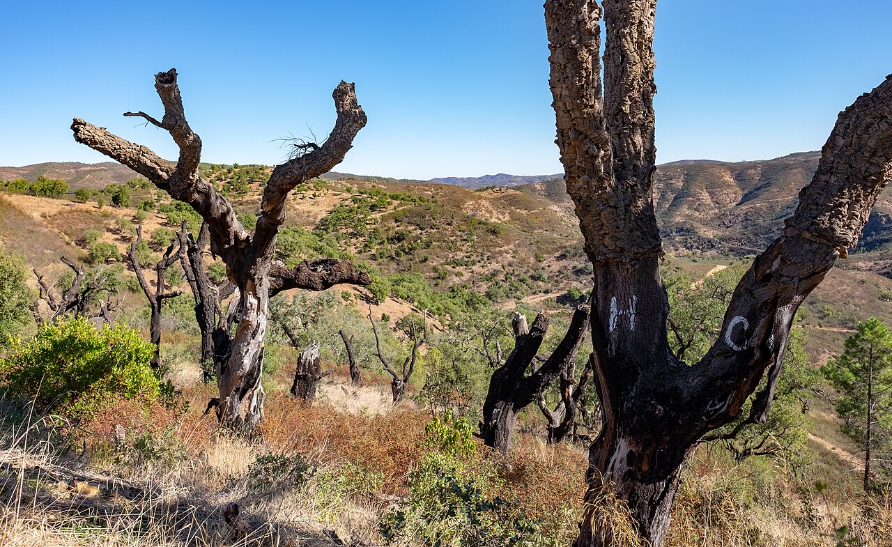 Serra do Caldeirão: łupkowe góry za plecami wybrzeża