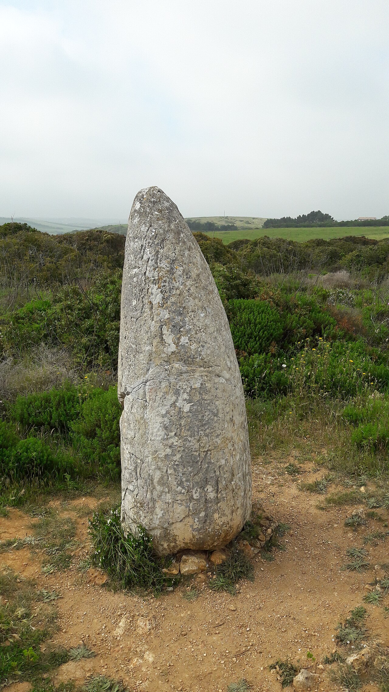 Menhir w Padrão koło Raposeiry, jedyny stojący z kilkunastu kamieni tej grupy, ustawiony w neolicie, ok. 6500 lat temu.