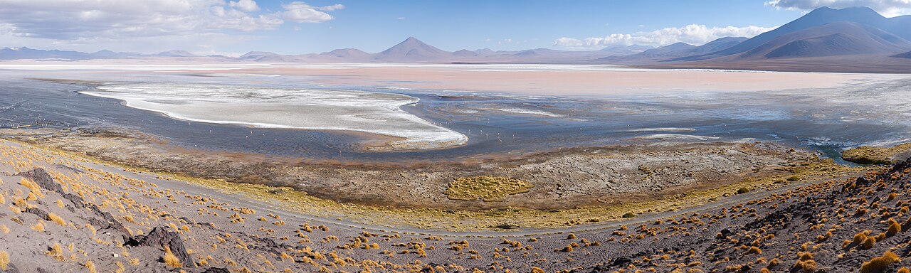 Laguna Colorada: płytkie słone jezioro na 4278 m, czerwone od glonów, z białymi wysepkami boraksu.