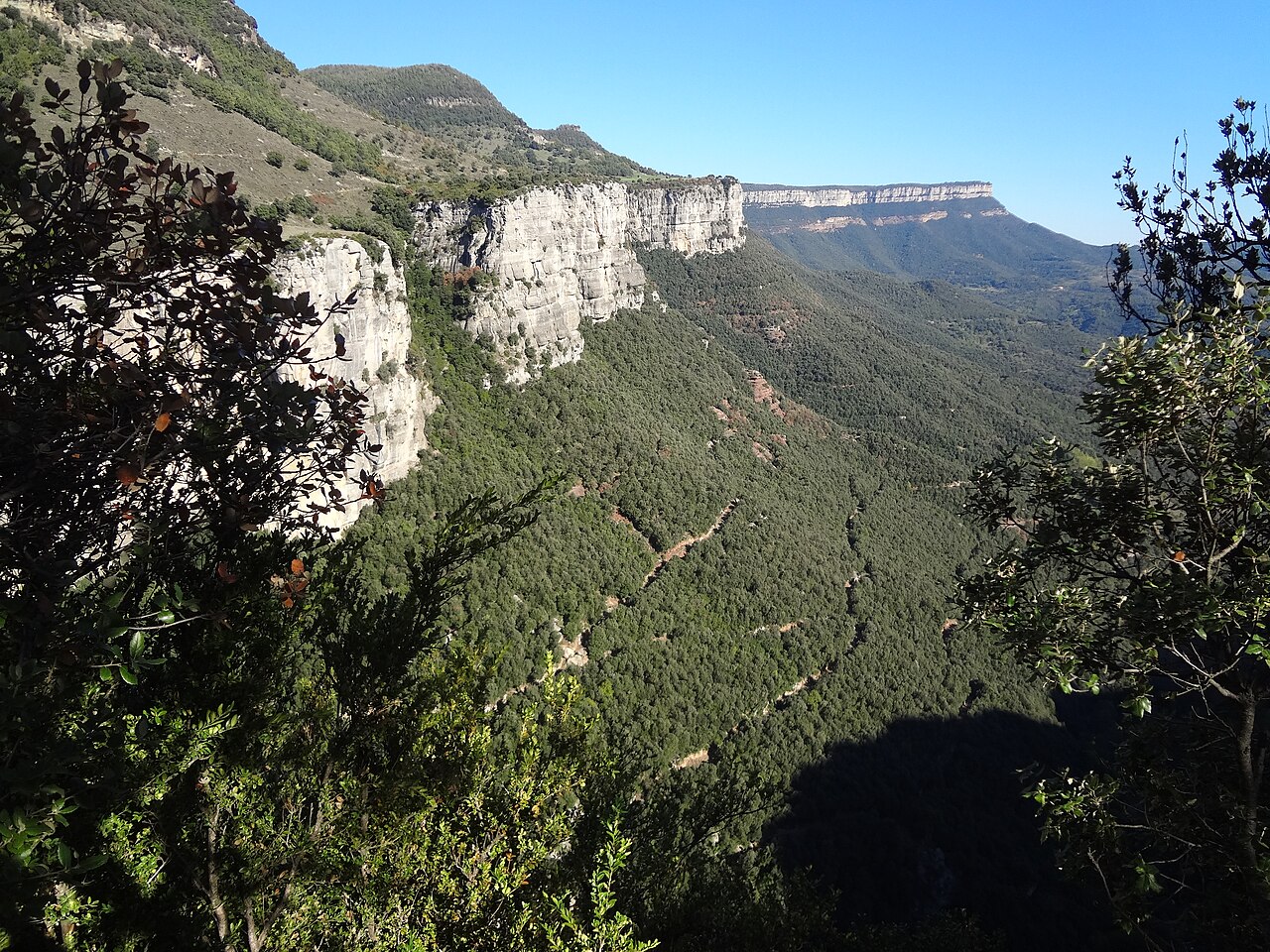 Collsacabra i Coll de Condreu (C-153)