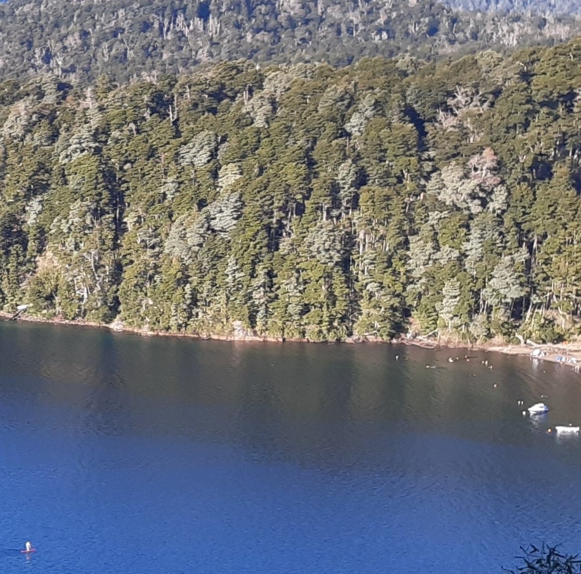 Lago Espejo przy Ruta de los Siete Lagos, blisko Villa La Angostura.
