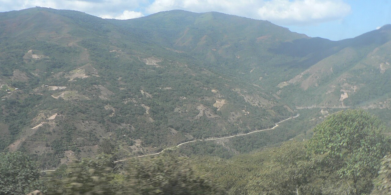 Ruta 25 wcięta w zielone stoki Sud Yungas, między Unduavi a Irupaną.