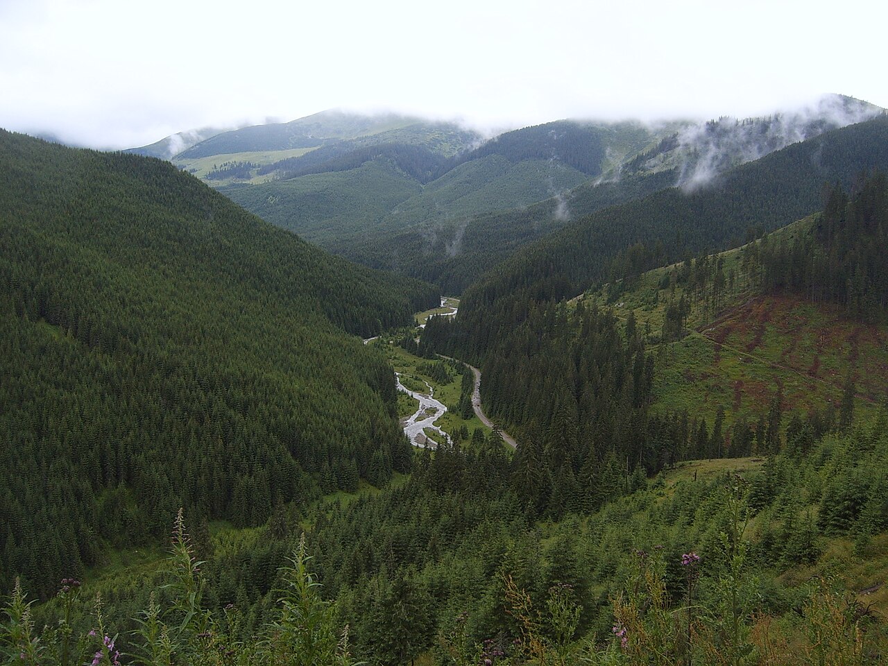 Przełęcz Prislop: Borșa – Prislop – Cârlibaba (DN18)