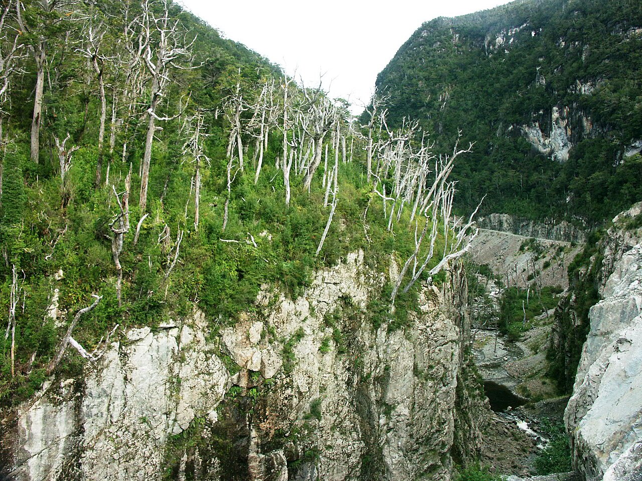Rzeka w okolicy odbicia do Caleta Tortel, w drodze do Puerto Yungay.
