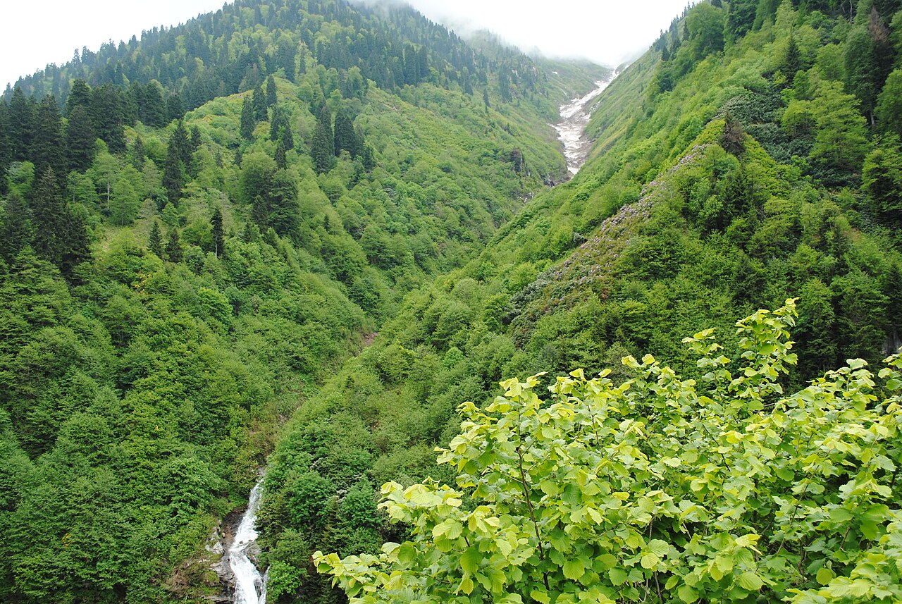 Ayder i góry Kaçkar