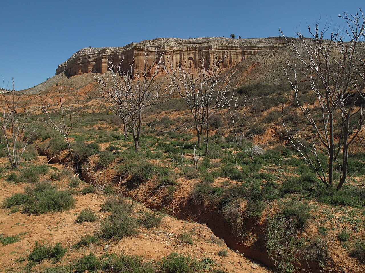 Cañón Rojo: Rambla de Barrachina pod Teruelem