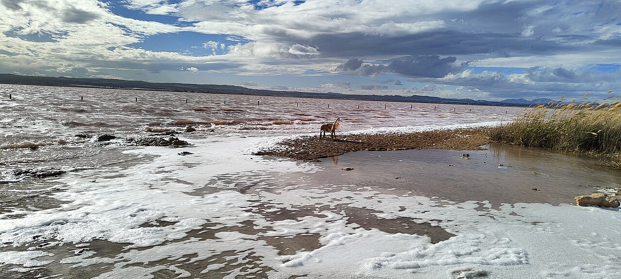 Laguna Rosa de Torrevieja (Różowe Jezioro)