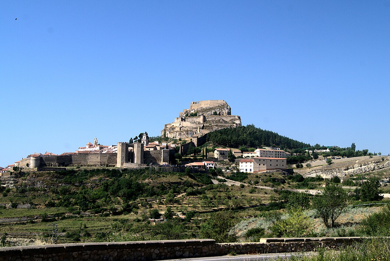 Morella
