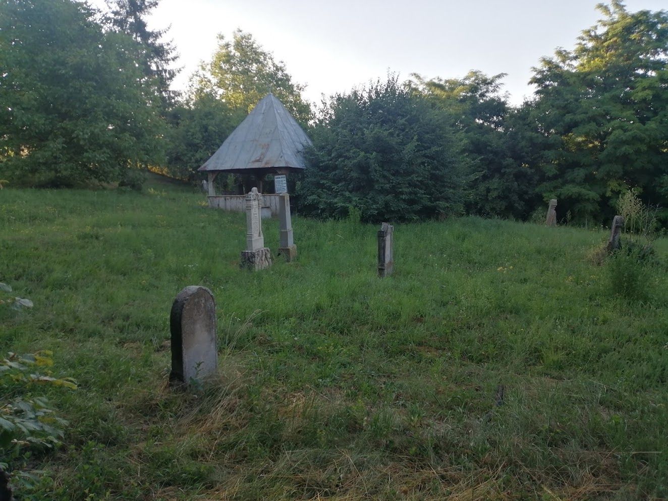Stary cmentarz na zboczu nad wsią