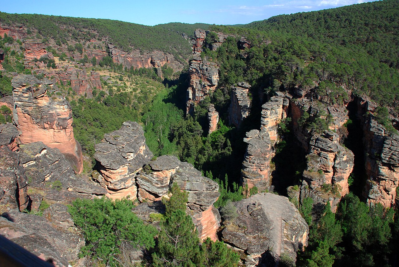Barranco de la Hoz: czerwone skały wąwozu Gallo, porośnięte sosną.