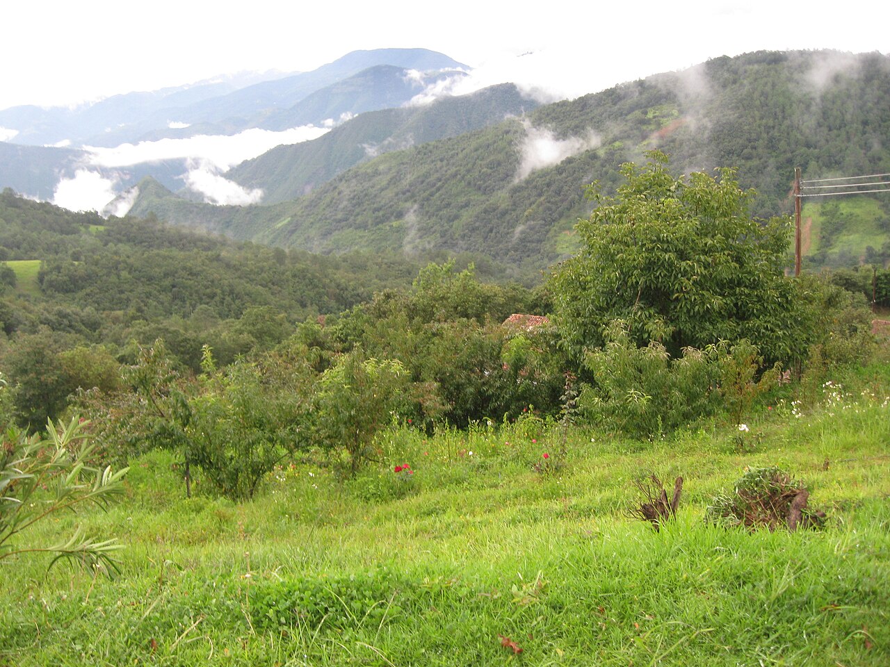 Oaxaca