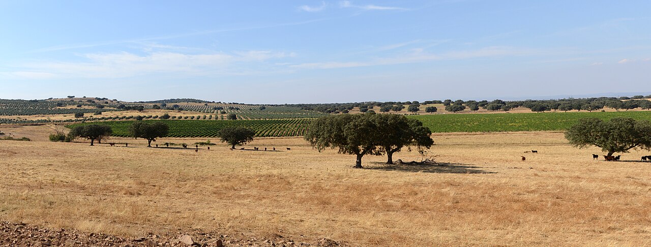 Alentejo