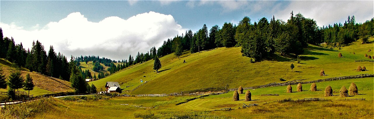 Transilvania și Crișana (Siedmiogród i Kriszana)