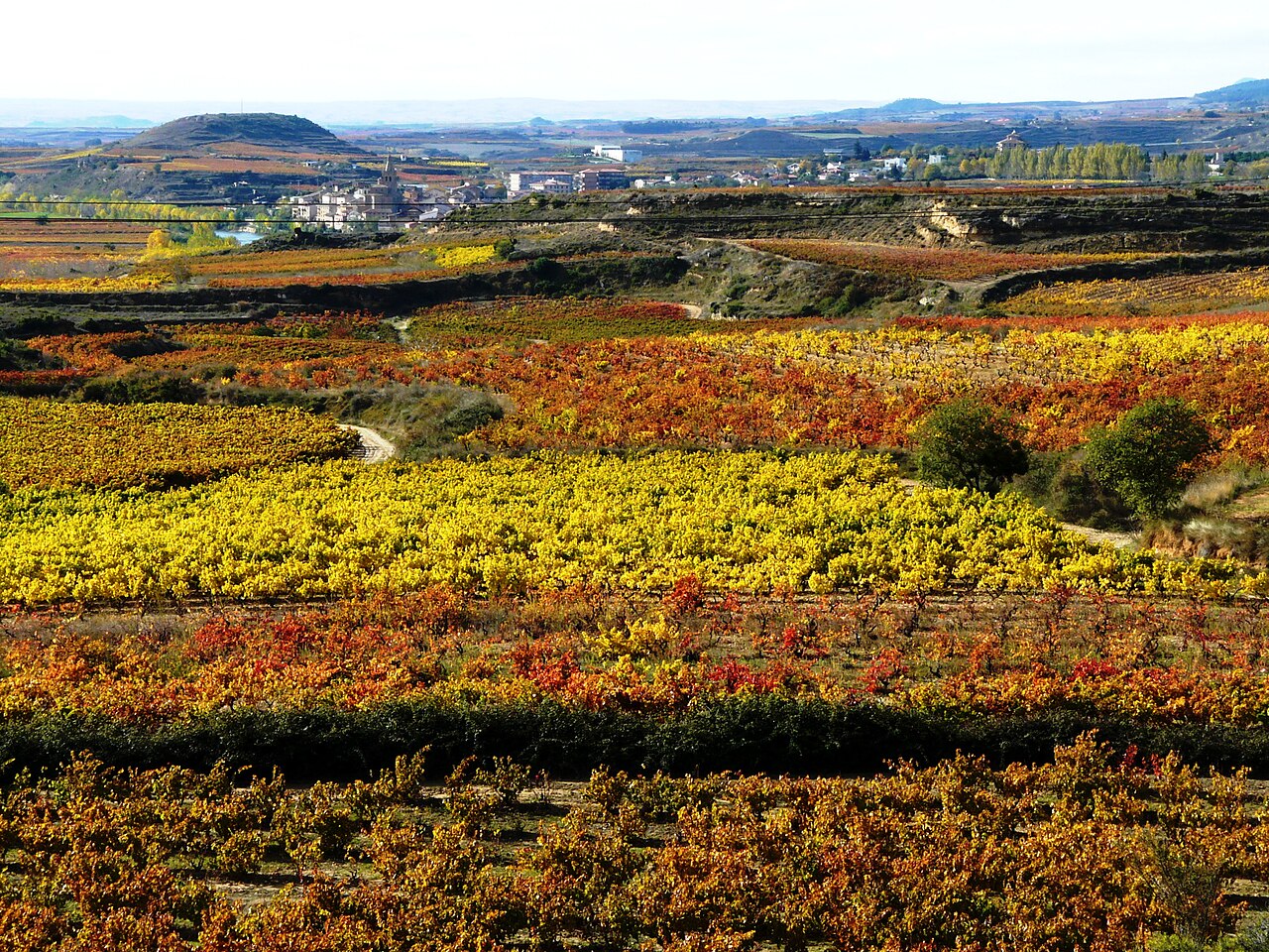 La Rioja
