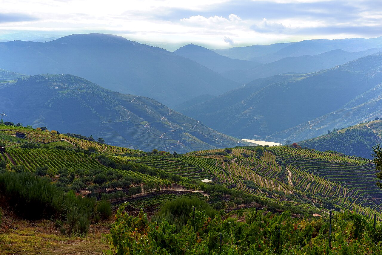 Trás-os-Montes e Alto Douro